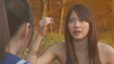 伊丽莎白 相关产品