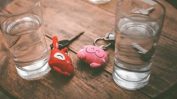 偷龙转猫 相关产品