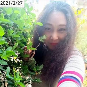 使徒保罗 相关产品