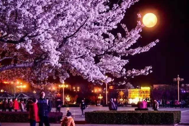 冷酷的心 相关产品