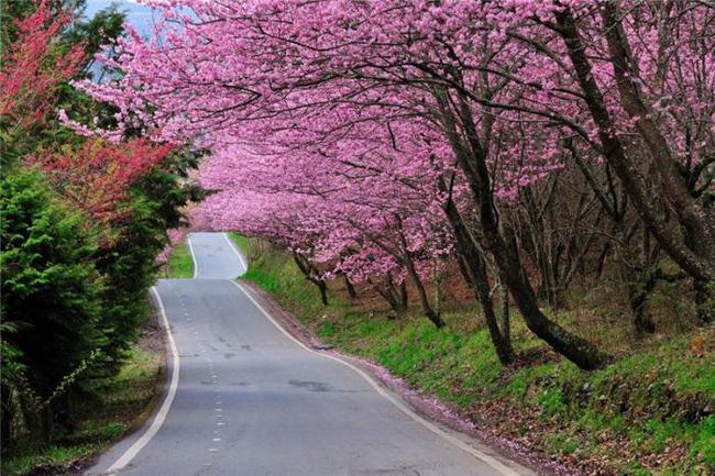 凶宅怪谈2 相关产品