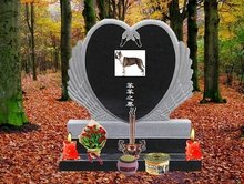 假日总动员 相关产品