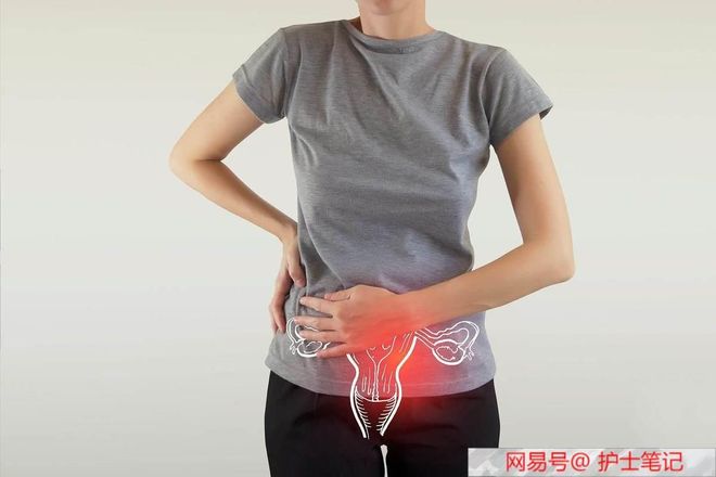 你好，再见 相关产品