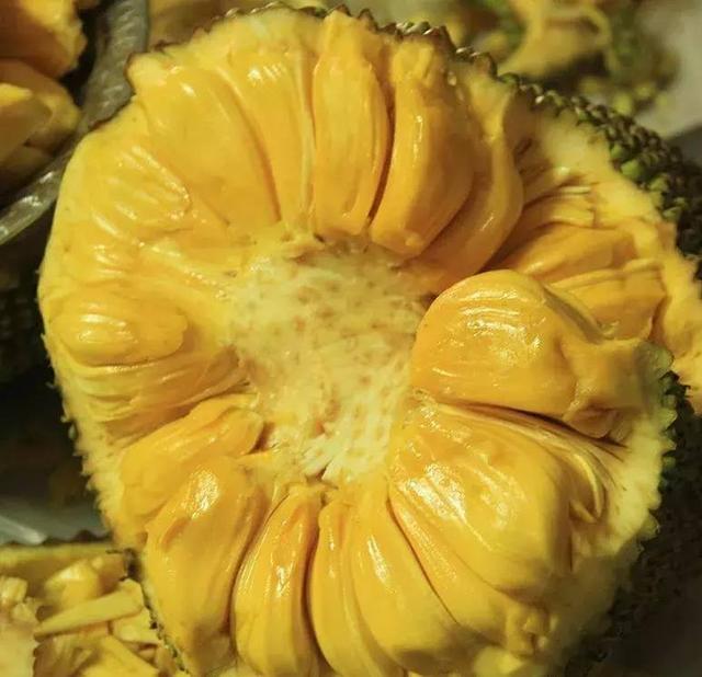 古堡之吻 产品图片