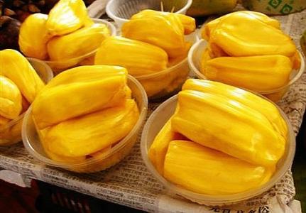 僵尸世界大战 相关产品