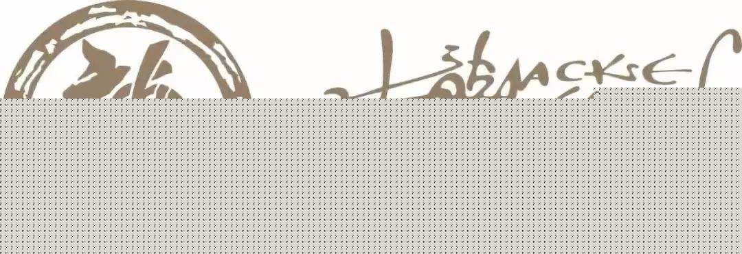 儿童捕手 产品图片