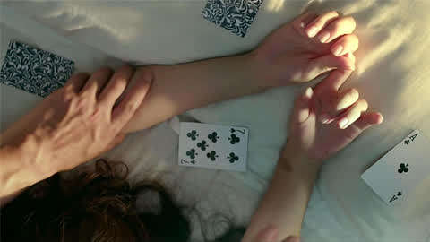 土豆的美国梦 产品图片