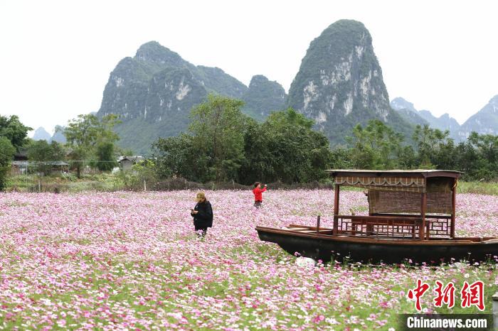 优雅的世界（上部） 相关产品