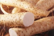 哑女情深 相关产品