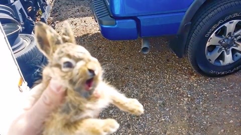 一梦如故 电影版