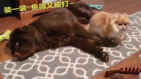 一梦如故 电影版