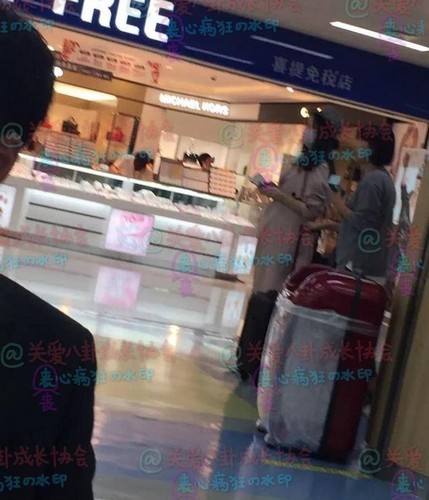 偷龙转猫 产品图片