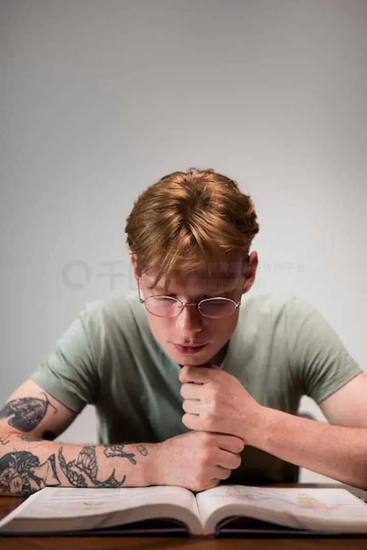 冰山上的来客 产品图片