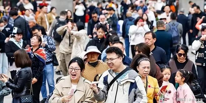 冰川鲨鱼 相关产品